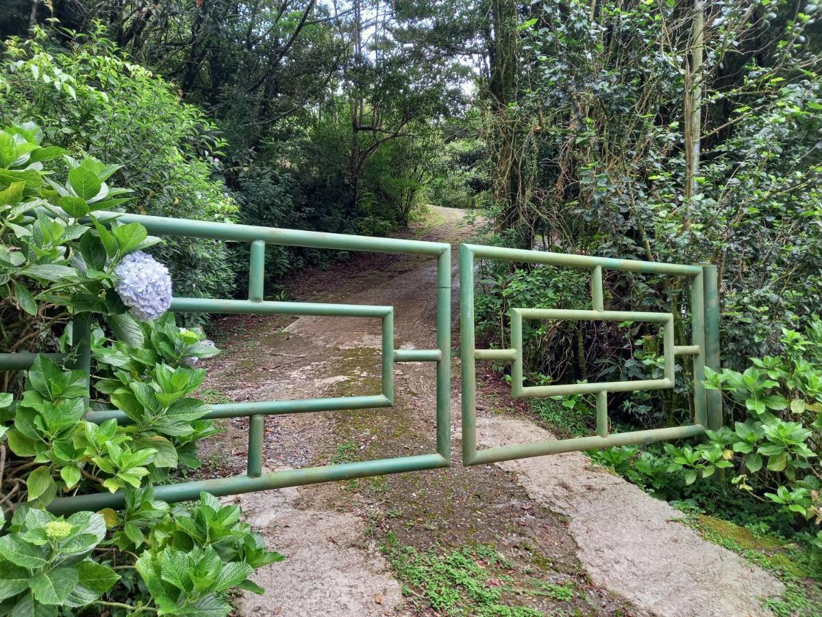 Casa De Montana Tica Linda Villa Monteverde Eksteriør billede