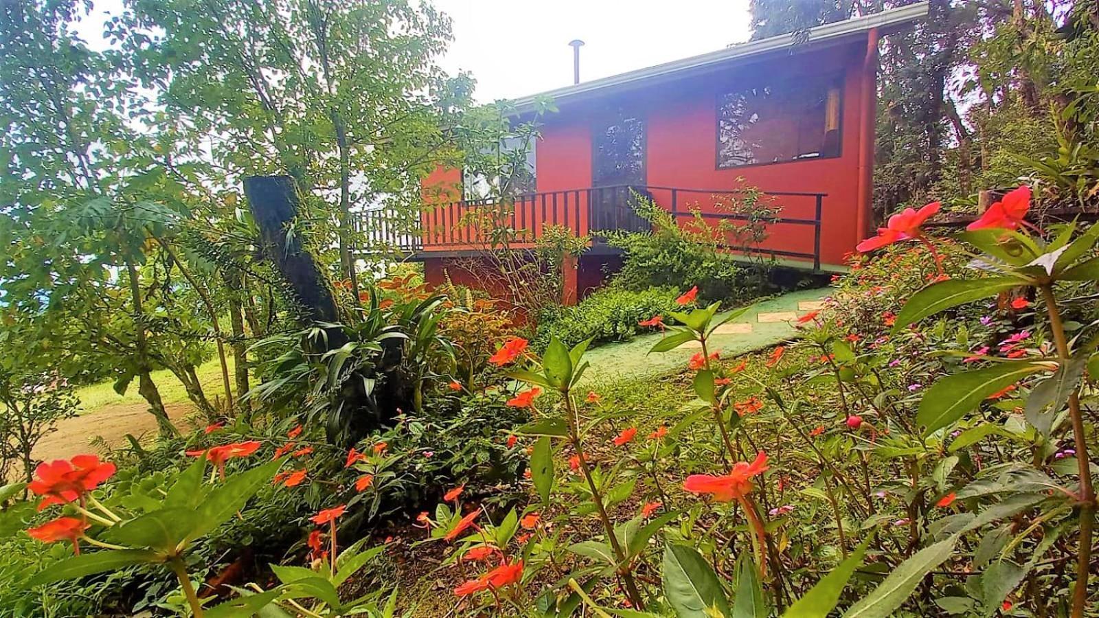 Casa De Montana Tica Linda Villa Monteverde Eksteriør billede